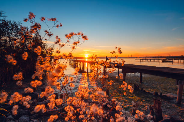 Small Dock and Boat at the lake, sunset shot