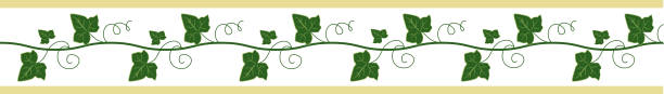 элегантная бесшовная граница, плющовая лента для декора. цветочная рама. векторная нарисованная иллюстрация. белый фон. - ivy vine leaf frame stock illustrations