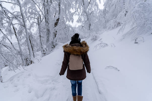 istock Having fun on snow stock photo... 1288722817