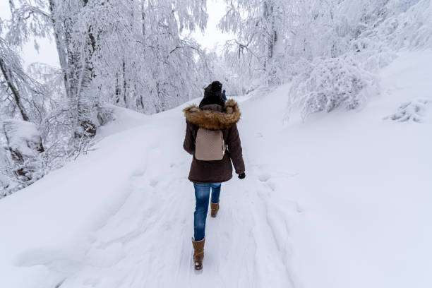 istock Having fun on snow stock photo... 1288722834