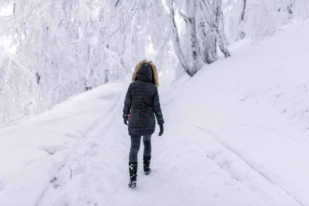 istock Having fun on snow stock photo... 1288722919