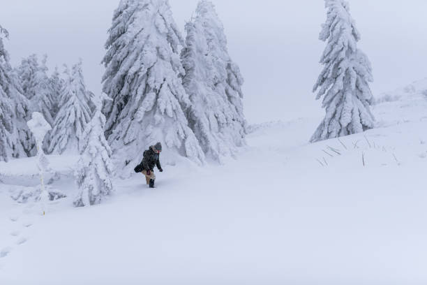 istock Having fun on snow stock photo... 1288724019