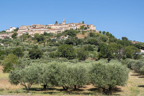 Montfort is a village on a hill in french Provence Montfort, France - July 7, 2020: Montfort is a village in Provence situated on a hill, planted with vineyards and olive trees. alpes de haute provence photos stock pictures, royalty-free photos & images