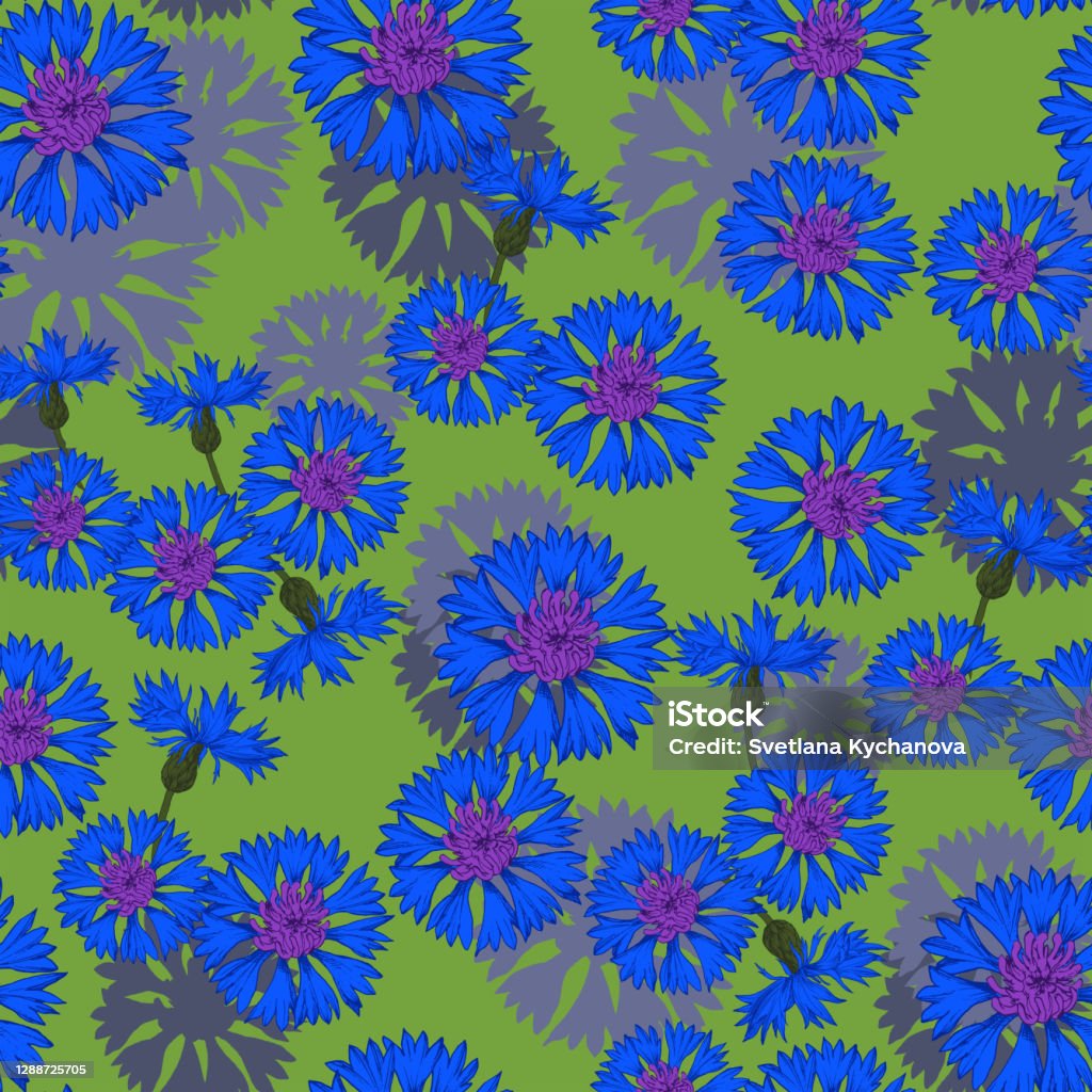 Cornflower Colored Pattern Stock Illustration - Download Image Now ...