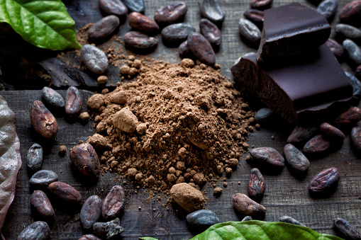 Cocoa powder surrounded by roasted cacao beans and bitter dark chocolate chunks.