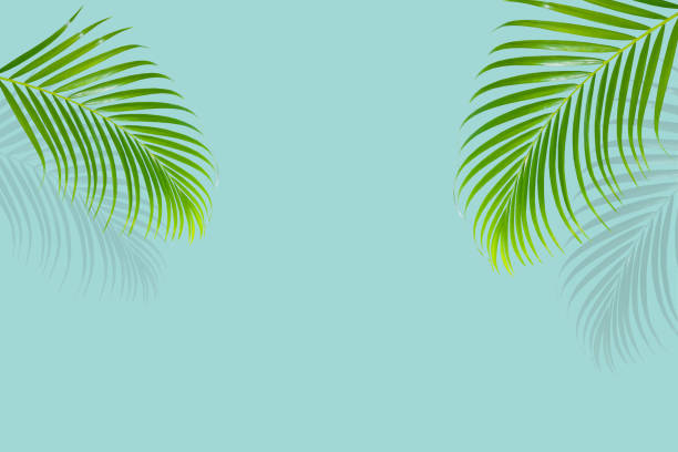 istock abstract green leaf texture, nature background, tropical leaf 1288734330