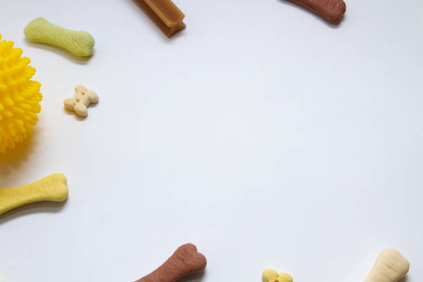 istock Bones dog biscuits and ball.Toys 1288738835