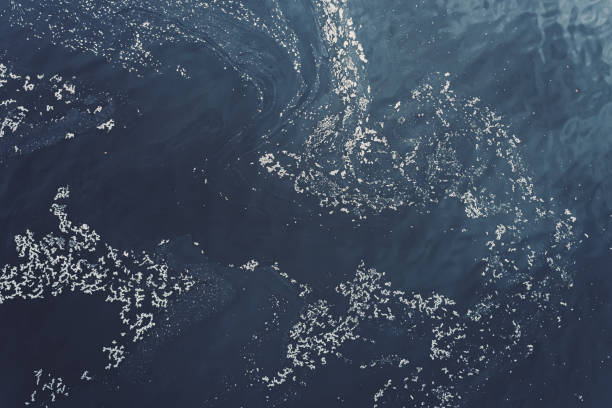 istock Floating Film in Ocean 1288740037