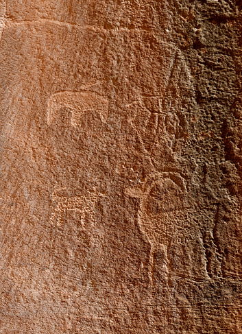 Petroglyphs depicting animals carved (or pecked) into the cliff rock surface by Indians of the Fremont Culture between 300 and 1300 AD. Capitol Reef National Park, Utah, United States. Bullet holes left by early tourist visible as well.