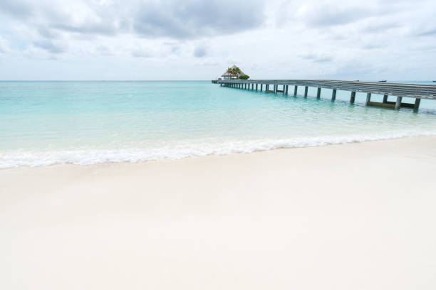 istock Wooden bridge jetty into the turquoise sea 1288746076