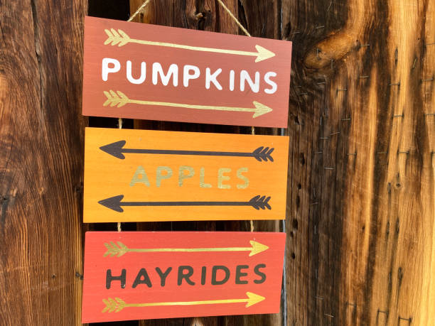 autumn sign: pumpkins apples hayrides - camel fair imagens e fotografias de stock