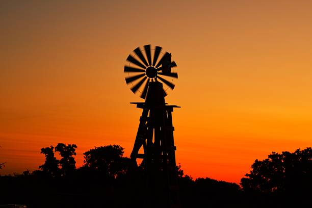 istock Texas Farm Life 1288748798