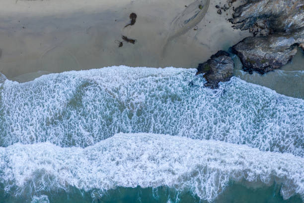 istock Rocky Creek Bridge - Big Sur, California 1288757687