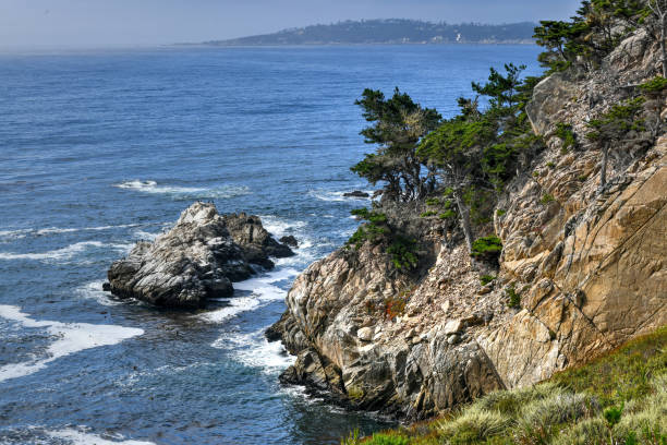 istock Point Lobos State Natural Reserve - California 1288758547