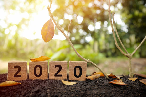 istock Goodbye, farewell, closing, ending and yearend 2020 concept. A tree branch with a single remaining last leaf hanging beside a 2020 year in wooden blocks at sunset. 1288759413
