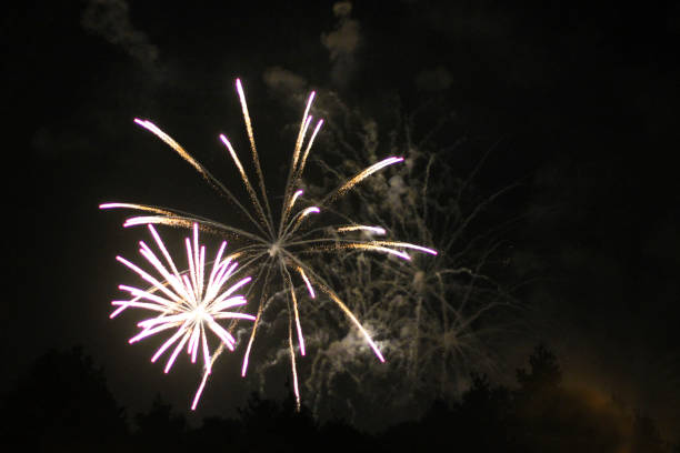 istock The Celebration colored firework flashing in the black night sky background 1288759552