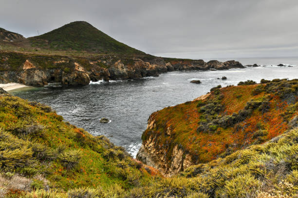 istock Garrapata State Park - California 1288761259