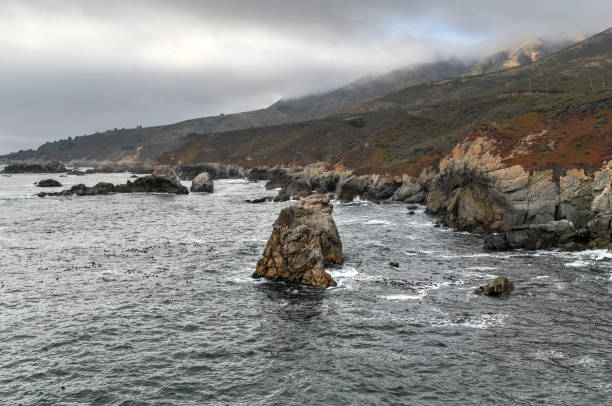 istock Garrapata State Park - California 1288761355