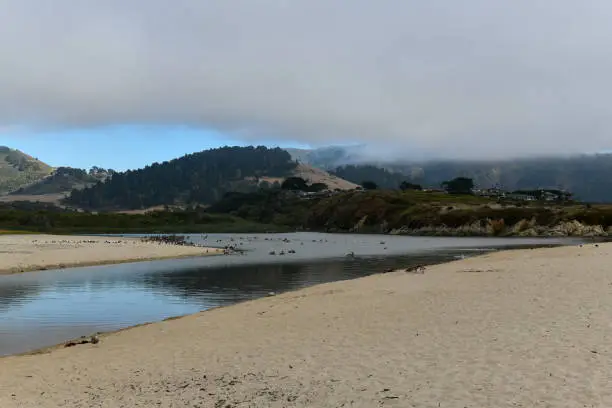 Carmel River State Beach, Carmel-by-the-sea, Monterey Peninsula, California