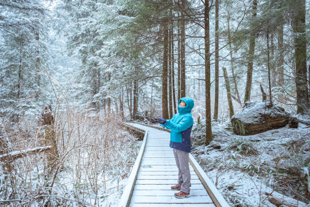 Solo Woman Catching Snowflakes During Walk Through Forest in Park