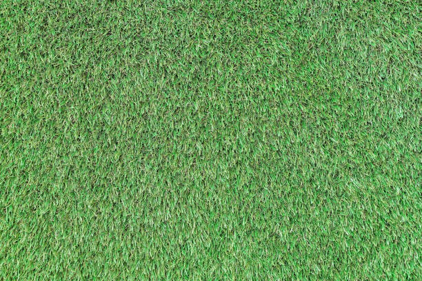 istock lawn with cropped green grass as a background 1288762780