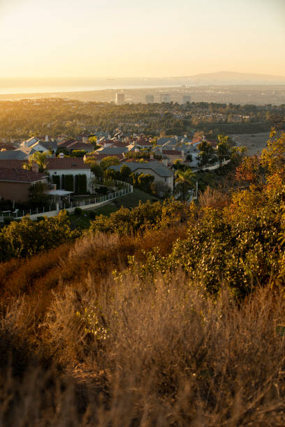 istock Newport Beach, California 1288764104