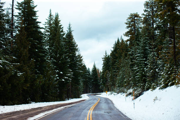 istock Pacific Northwest Winter Wonderland Snowy Road 1288773600