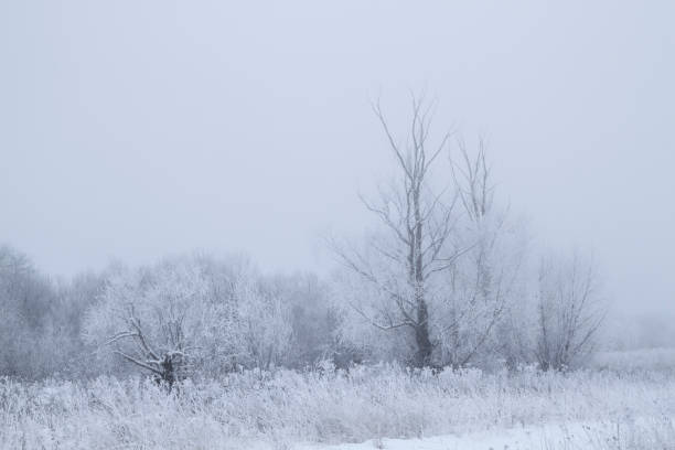 istock frosty winter morning 1288773660