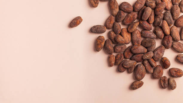 istock Cocoa beans on a pink background. Cocoa product. Copy space. 1288774585