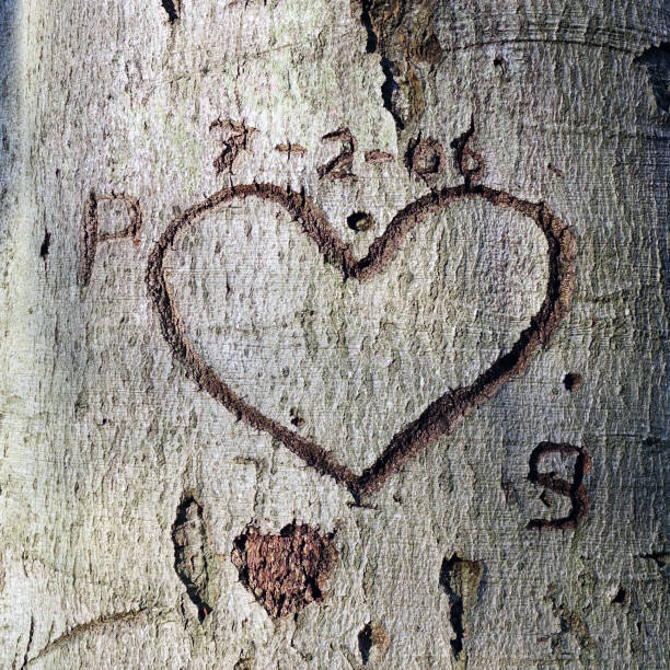 istock A heart carved in an old tree 1288787155