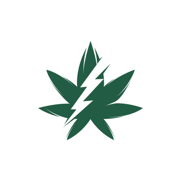 illustrazioni stock, clip art, cartoni animati e icone di tendenza di design del logo vettoriale del tuono di marijuana. - herbal medicine flash