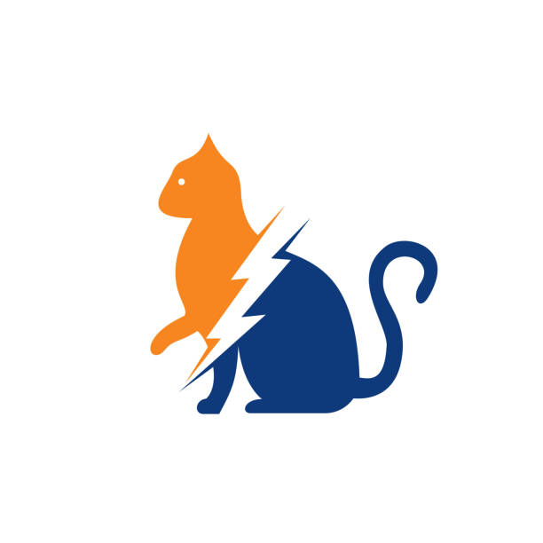 projekt logo wektora kot flash. - veterinary medicine flash stock illustrations