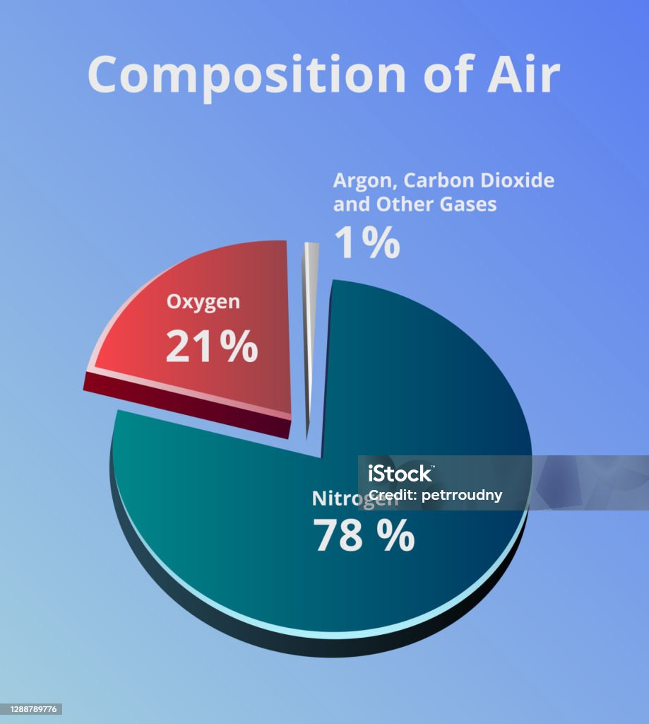 원형 차트 원형 그래프 지구상의 공기 구성 질소 산소 이산화탄소 및 아르곤과 같은 다른 가스 구도에 대한 스톡 벡터 아트 및 기타  이미지 - Istock