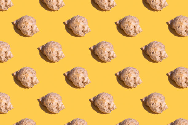istock Seamless regular pattern with seashells on a yellow background. Hard light. Summer vacation and travel concept. 1288791148