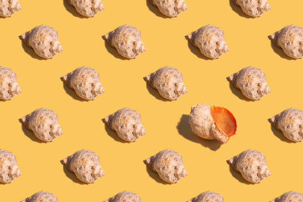 istock Seamless regular pattern with seashells on a yellow background. Hard light. Summer vacation and travel concept. 1288791213