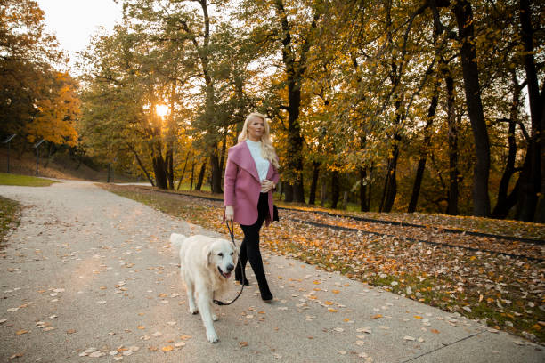istock Going for a dog walk at the autumnal park 1288793875