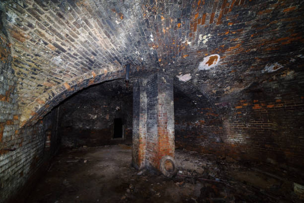istock The basement of an old house with a domed vault and a supporting column 1288798721