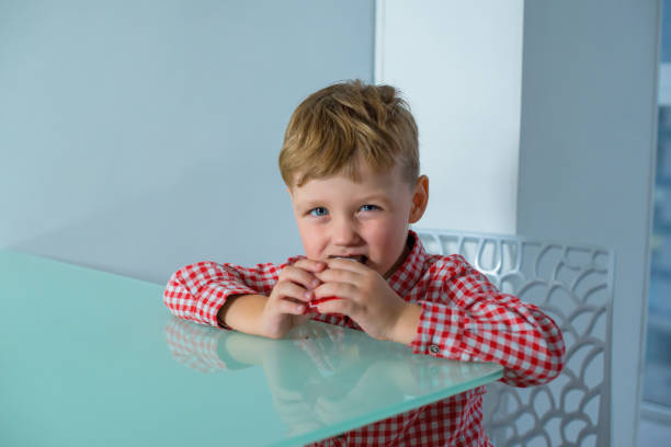 istock Boy sits at the table and eats a delicious bar. 1288799842
