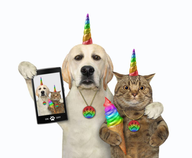istock Dogicorn takes selfie with caticorn 1288799855