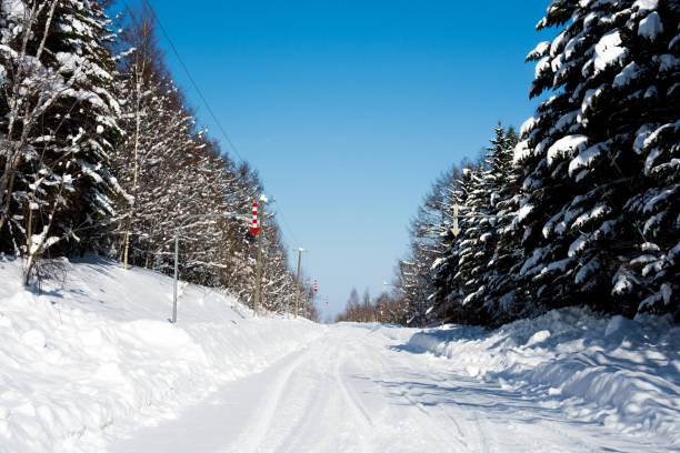 istock Snowy road through thickets and blue sky 1288804168
