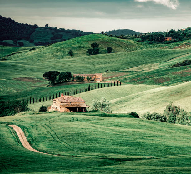 italian landscape from val d'orcia, tuscany, italy - morning italy shadow sunlight photos et images de collection