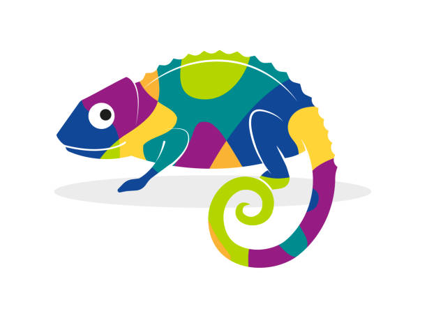 Colorful chameleon representing adaptation Vector illustration of a colorful chameleon on a white background. Concept of change and resilience represented with the chameleon metaphor. chameleon stock illustrations