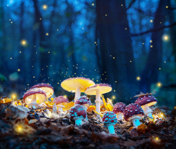 istock Mystical fly agarics glow in a mysterious dark forest. Fairytale background for Halloween. 1288805667