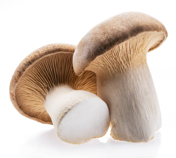 istock King oyster mushrooms isolated on white background. 1288805774