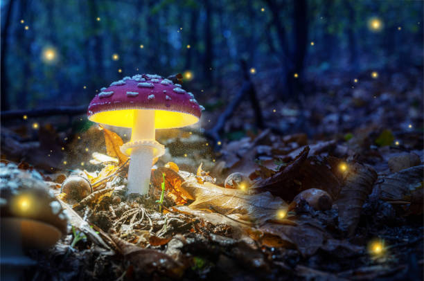 istock Mystical fly agarics glow in a mysterious dark forest. Fairytale background for Halloween. 1288806505