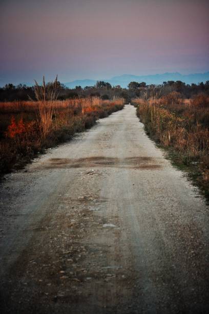 istock Dirtroad to purple sky 1288807699