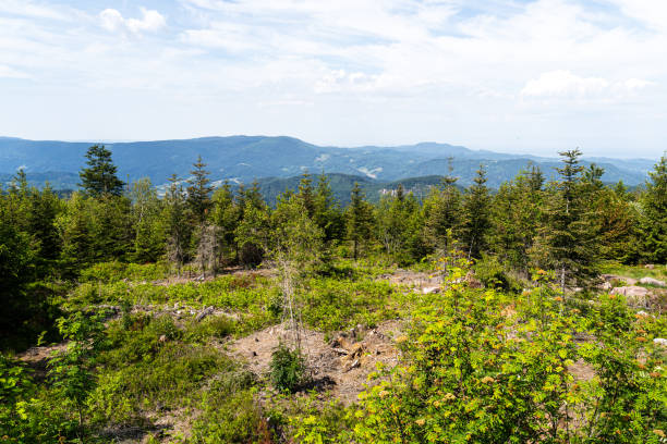 istock Landscape scenery in the Black Forest, Germany 1288807860