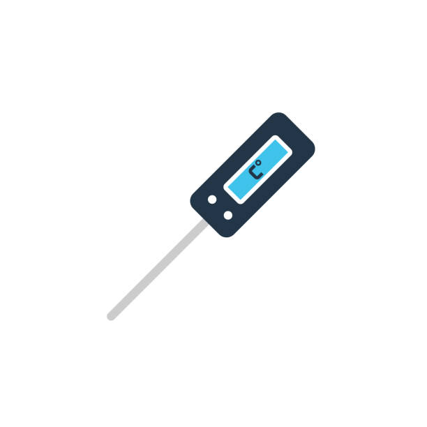 디지털 고기 온도계 아이콘 - thermometer cooking meat gauge stock illustrations