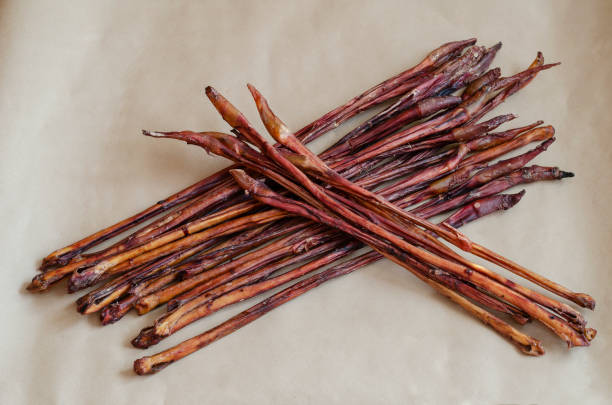 istock Treats for dogs. Dried Beef pizzle. 1288813510