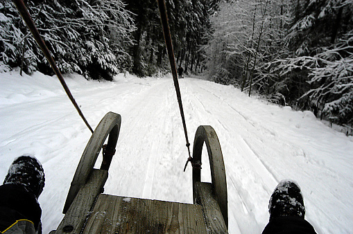 person on a sledge riding down a snowy forest path, tobogganing or sledging in winter